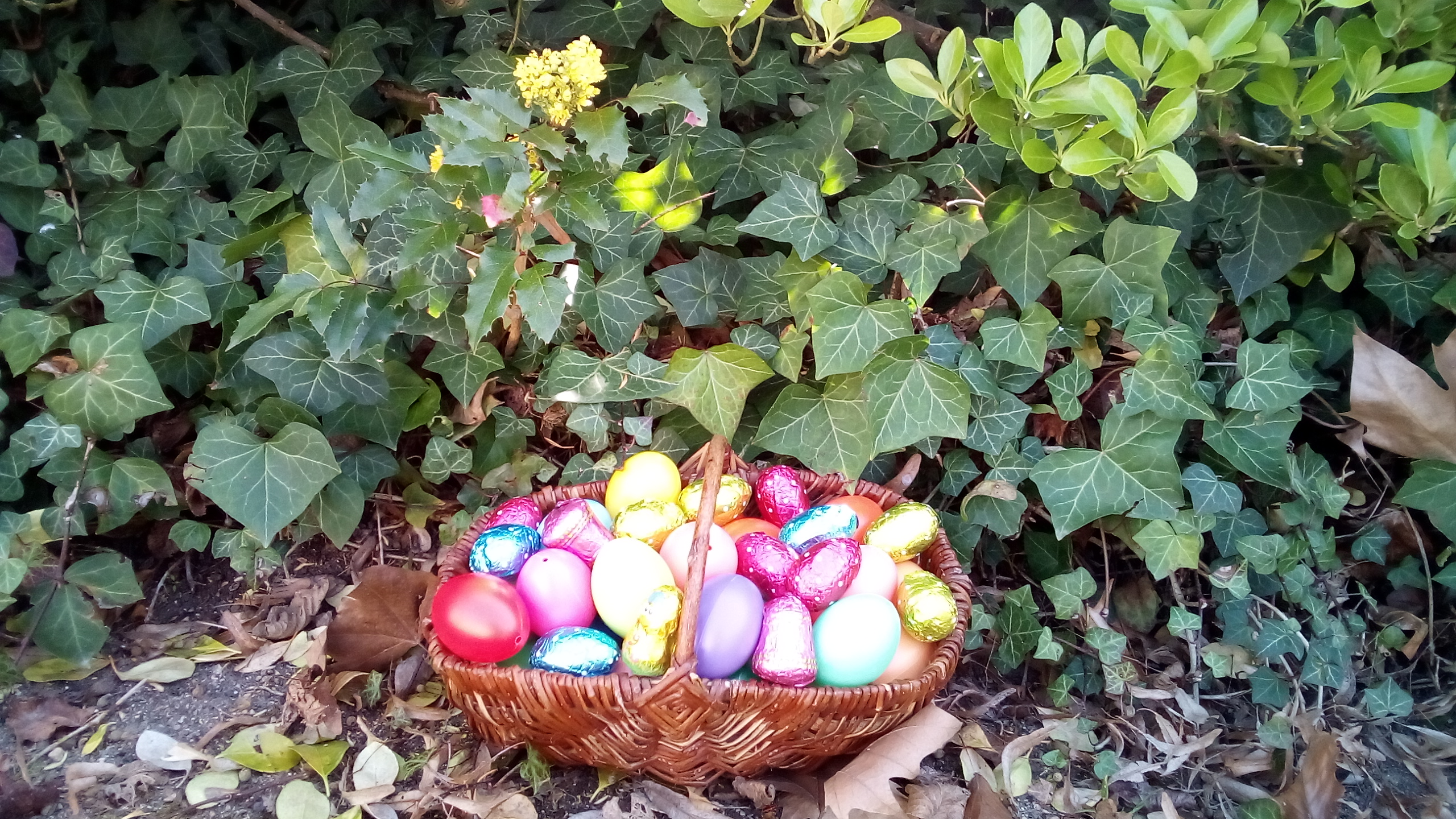 Dimanche de Pâques, chasse au œufs dans le labyrinthe - Château du Lude